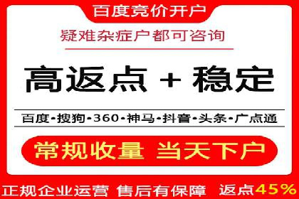网络推广中的竞价广告：成功案例解析